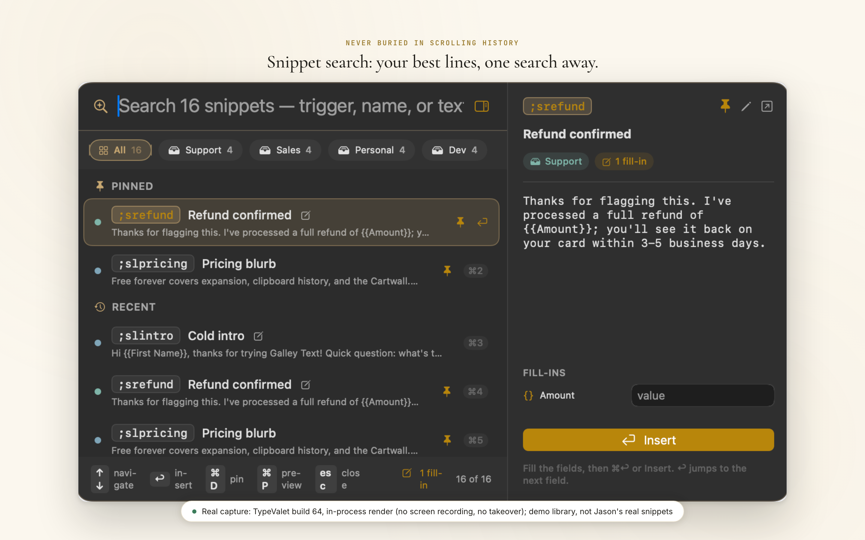 TypeValet's snippet search: search across 16 snippets grouped by project, with pinned favorites and a live fill-in preview pane