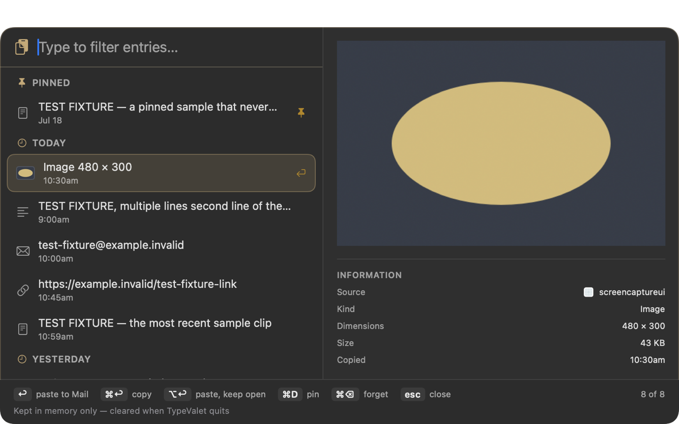 The TypeValet clipboard history palette in dark appearance, showing a picture clip selected with its dimensions and size.